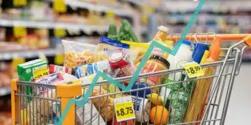 US Inflation February 2026: 4.2% Rate & Your Daily Spending Impact Shopping cart with groceries illustrating rising costs due to US inflation